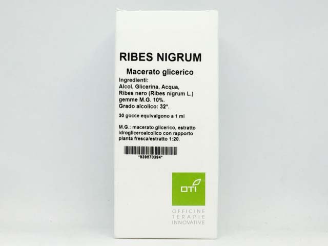 Ribes nigrum MG OTI